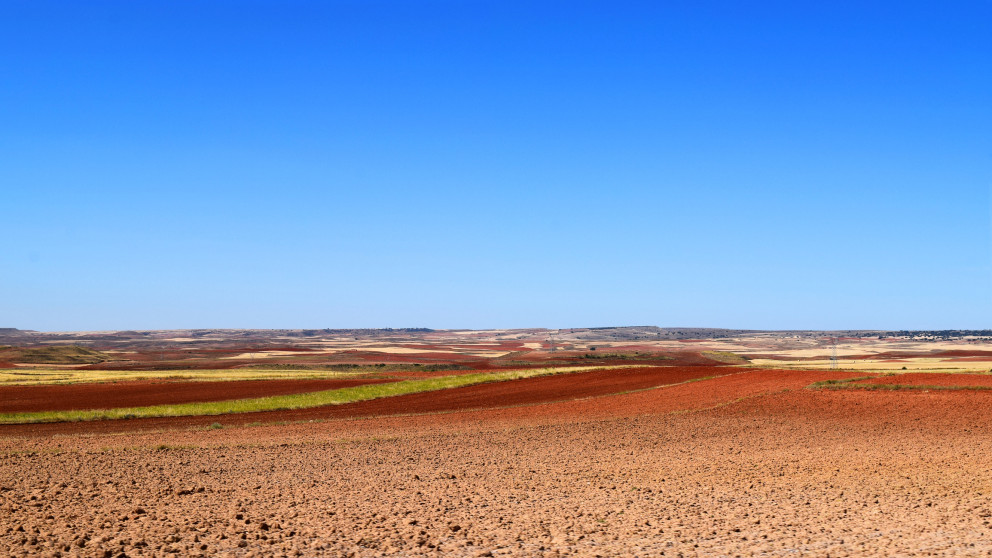 Agriculture accounts for 80% of the water consumed in Spain. Green hydrogen production will likely compete for an already scacre environmental resource.