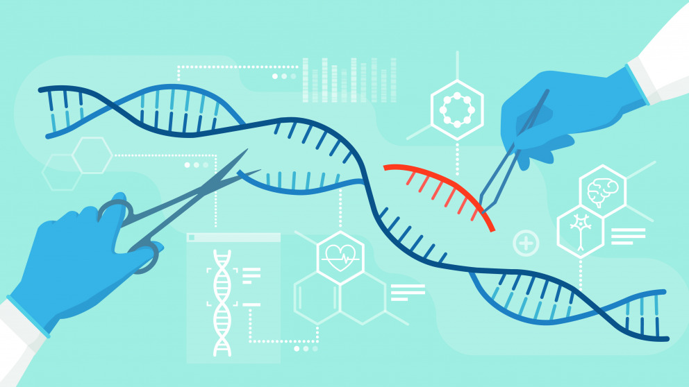 Eine der RECIPES-Fallstudien hat neue Gen-Editing-Techniken (CRISPR-Cas9) zum Thema.